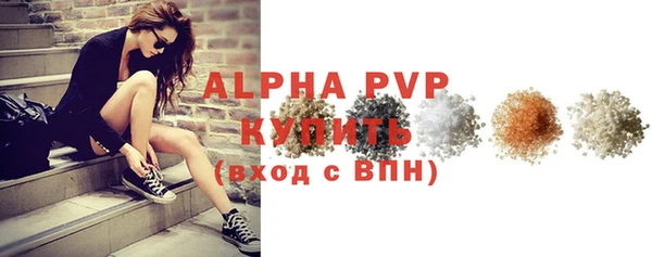 гидра Бородино