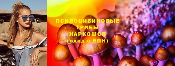 гидра Бородино