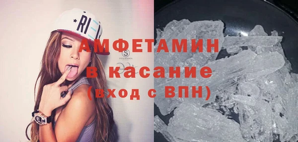 гидра Бородино