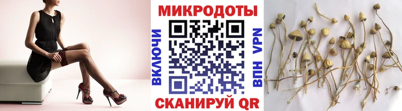 сайты даркнета наркотические препараты  omg ONION  Новый Уренгой  Псилоцибиновые грибы MAGIC MUSHROOMS 