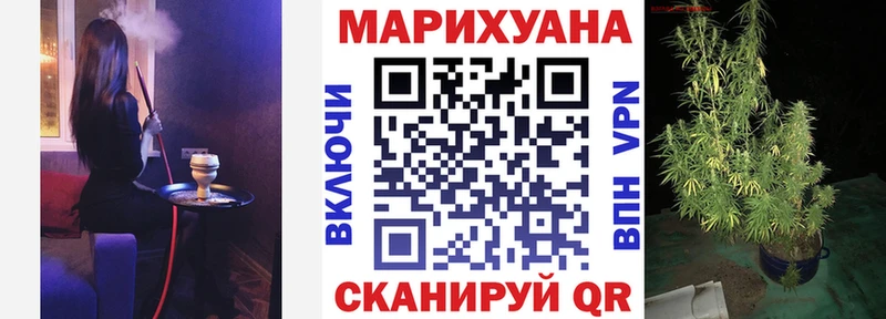 Канабис сатива  hydra зеркало  Новый Уренгой  дарнет шоп 